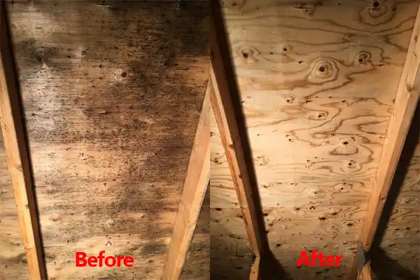 water damage restoration service Keuka Park